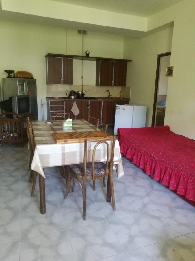 Artyomi Toon Apartment Dilijan Bagian luar foto