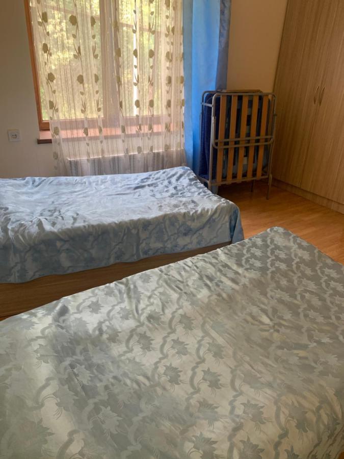 Artyomi Toon Apartment Dilijan Bagian luar foto